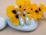 Earrings made of sterling silver and faceted moonstones gems.. Ref. MID